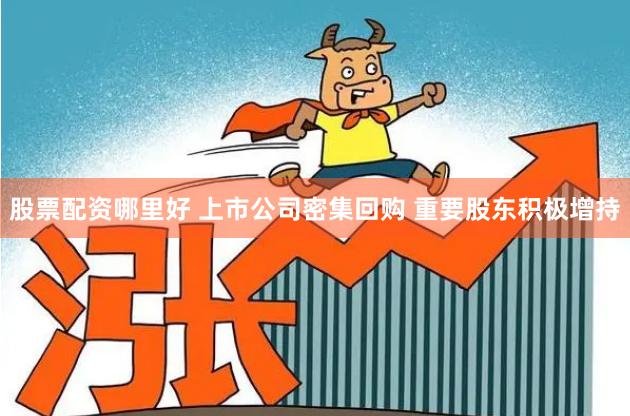 股票配资哪里好 上市公司密集回购 重要股东积极增持