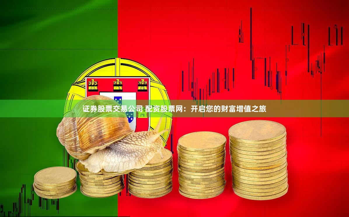 证券股票交易公司 配资股票网：开启您的财富增值之旅